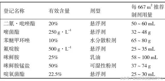 辣椒病虫害「完全版」（2）6