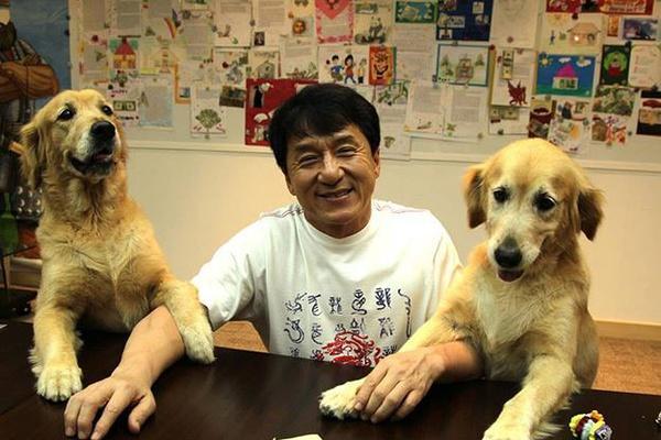 黄金猎犬价格