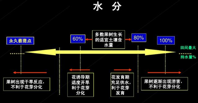 果树栽培技术｜促果树花芽分化的八个措施8