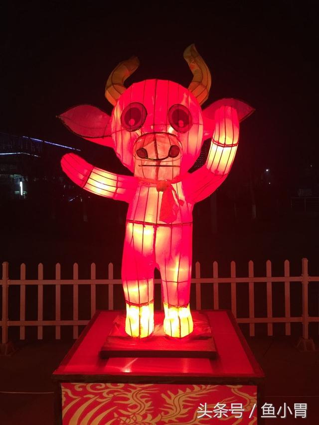 独字肖什么意思是什么生肖