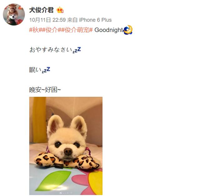 柴犬俊介