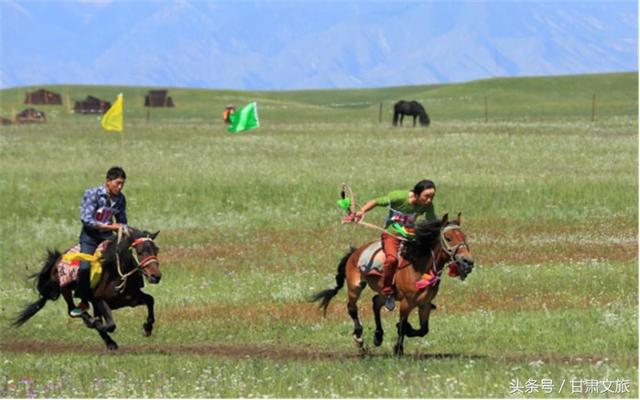 卓尼狼牙破碎机