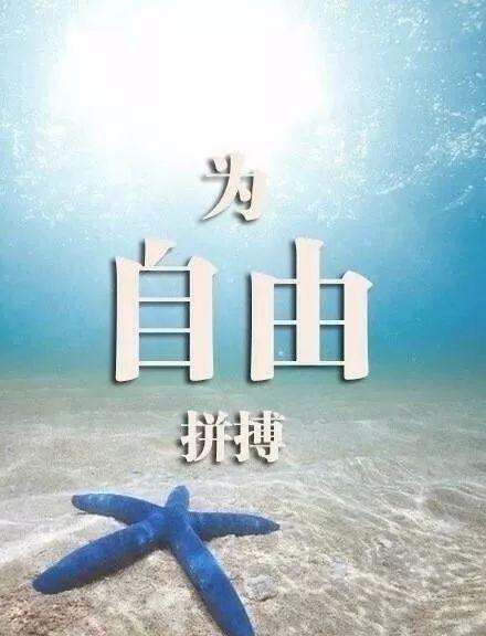 早安心语正能量171229：你想要什么，就去付出足够的努力