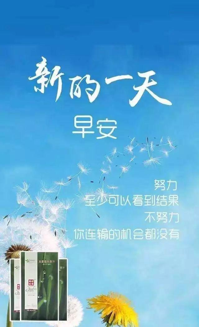 早安心语正能量171129：社会不是亲妈，不会惯着你