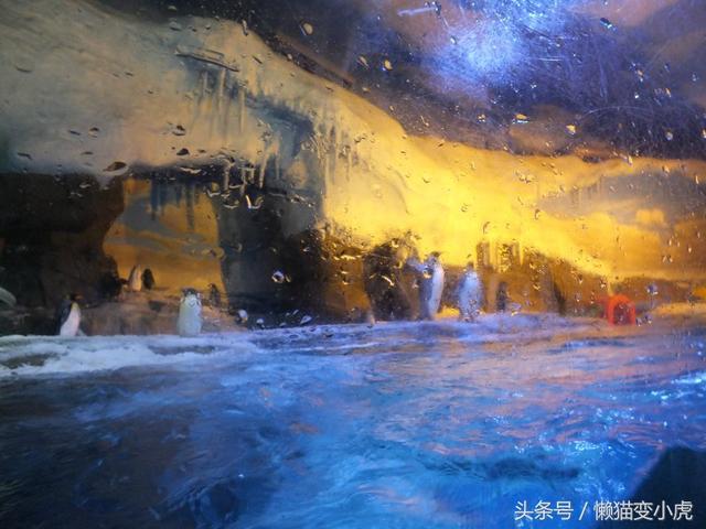 成都海洋馆