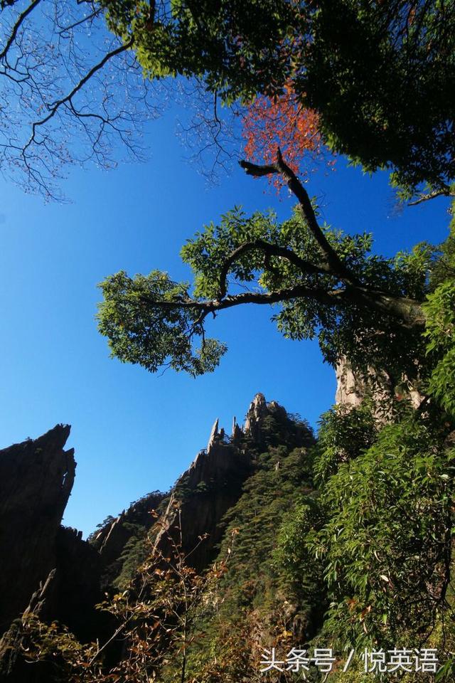 赞美黄山的诗句（黄山最出名的一句话）(2)