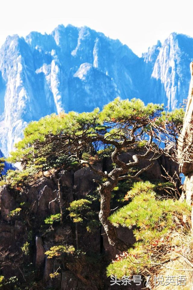 赞美黄山的诗句（黄山最出名的一句话）(55)