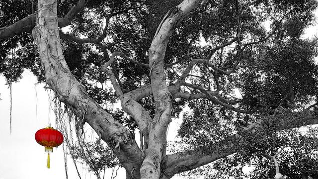 汉末何太后全文免费（汉末何太后全文免费阅读）