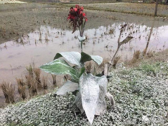 温州酒过滤机