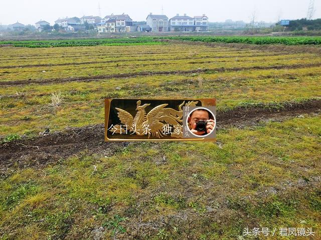 湖北宜昌：农民使用除草剂除草，毫不手软！除草剂有哪些危害？