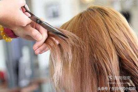 虱子怎么办