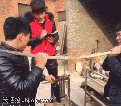 牛哥美女内涵gif动图14p：裤子会不会有点小啊