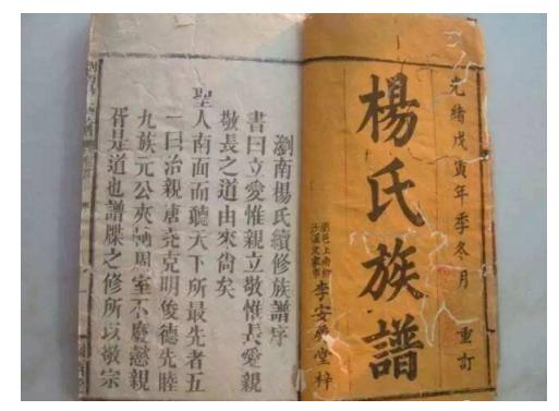杨姓的来源