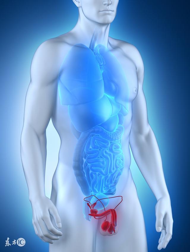 龟头角化是什么意思