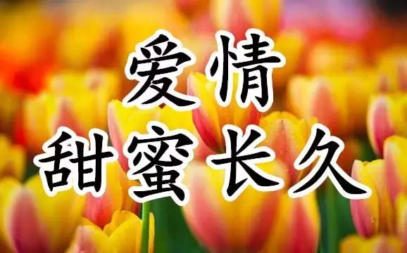 爱情祝福图片长久图片