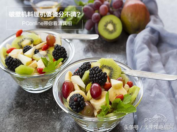 关于破碎机与破壁机的区别的信息