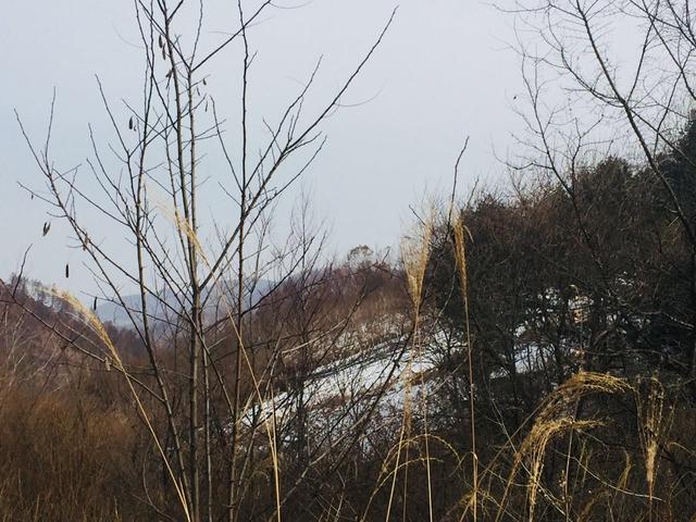 墓地里有石头怎么办