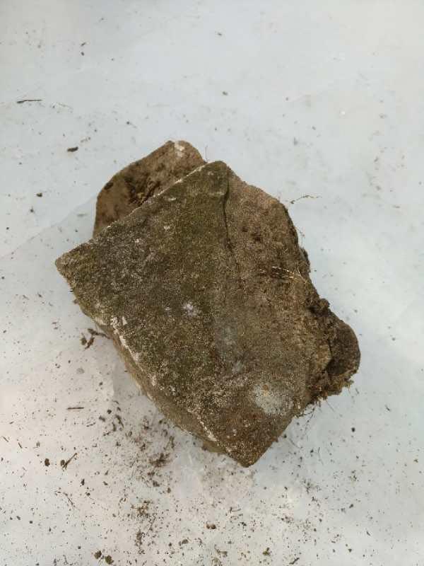 墓地里有石头怎么办