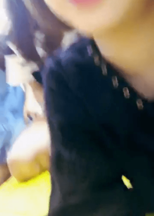 牛哥美女内涵gif动图：专业指导还得是老司机