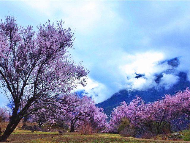 4月有什么节日