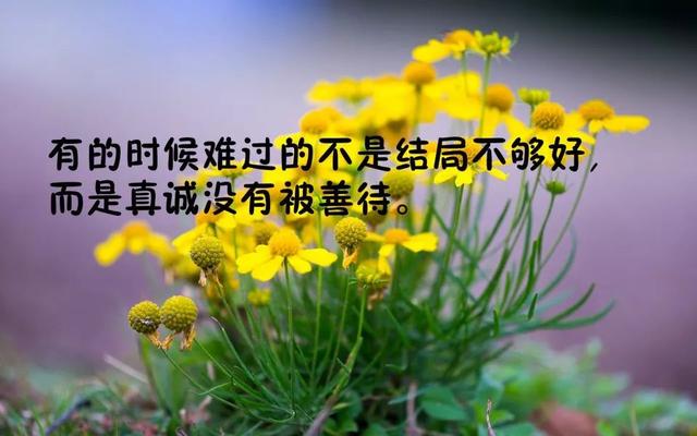 早安正能量的话语180817：有披荆斩棘的能力，有破釜沉舟的勇气