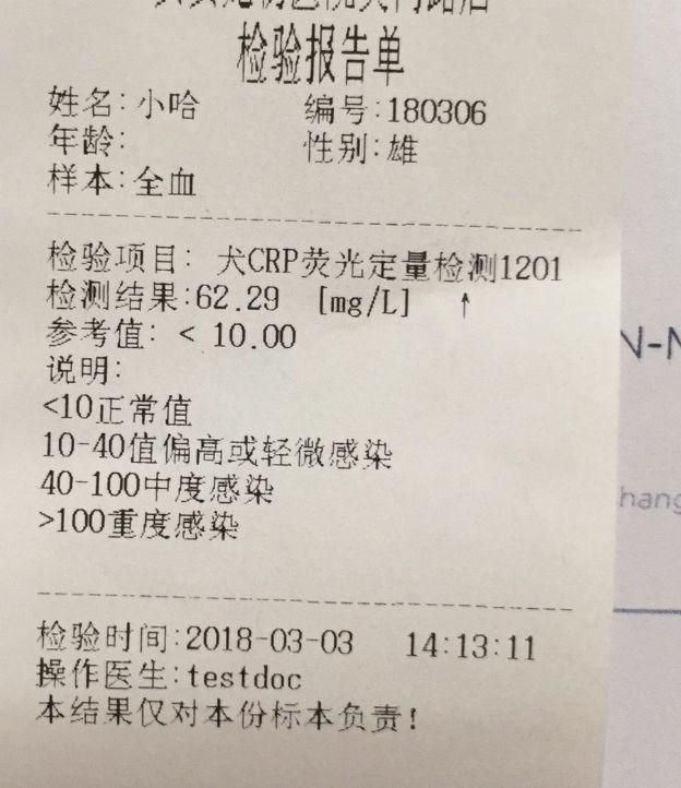 厦门卖狗 厦门卖狗（厦门卖绝缘材料有限公司） 动物