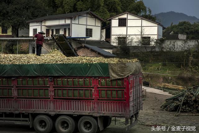 竹木多功能破碎机