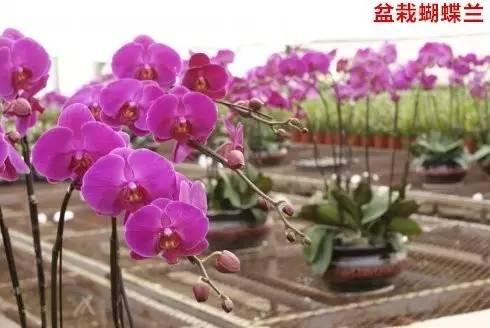 农业企业包括哪些行业(必备秘籍，必看)