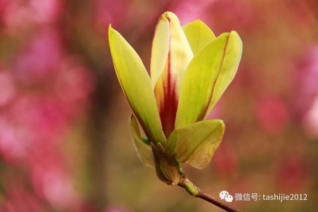 北京同科过滤机