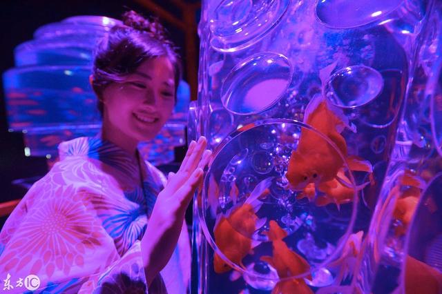 水族工程展