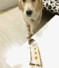 力太大gif(22p):现在的小姑娘，真的是越来越可怕了！
