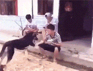 力太大gif(22p):现在的小姑娘，真的是越来越可怕了！