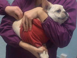 力太大gif(22p):现在的小姑娘，真的是越来越可怕了！
