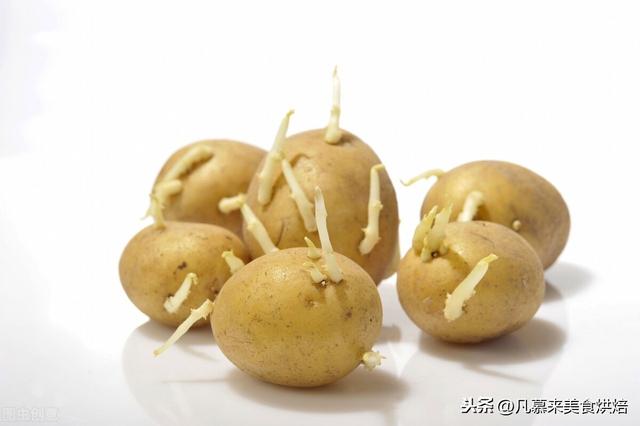 土豆不宜存放在什么地方