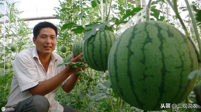 农药推荐：克菌丹产品使用手册5