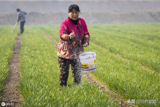 人类健康长寿离不开化肥农药，医疗离不开化学药品，你咋看呢？