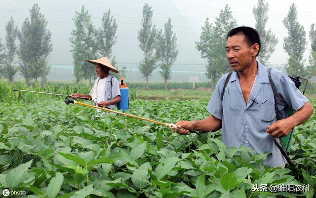 最好生物农药，12秒开始杀菌，1小时控制病害，8小时彻底控制蔓延5