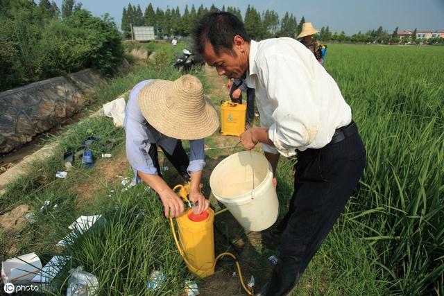 有5种农药易引起药害，现在知道还不晚，教你安全使用方法1