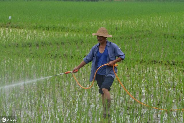 有机农业防治病虫害时，如何就地取材制作生物农药来防治2