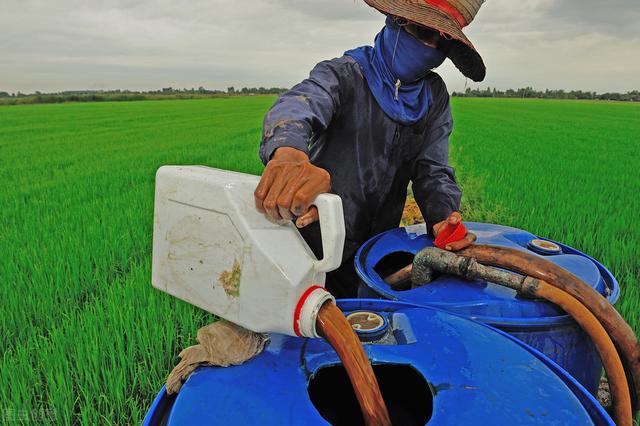 高温多雨，农药怎么打才有效？教你6个技巧，建议收藏