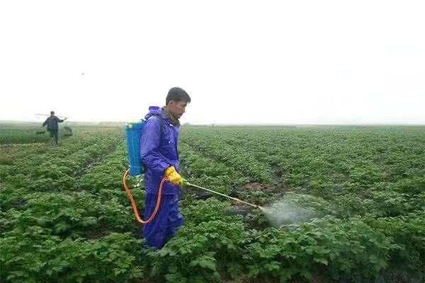 植物防冻剂，真能防冻吗？怎么选择？怎么使用？要点都在这2