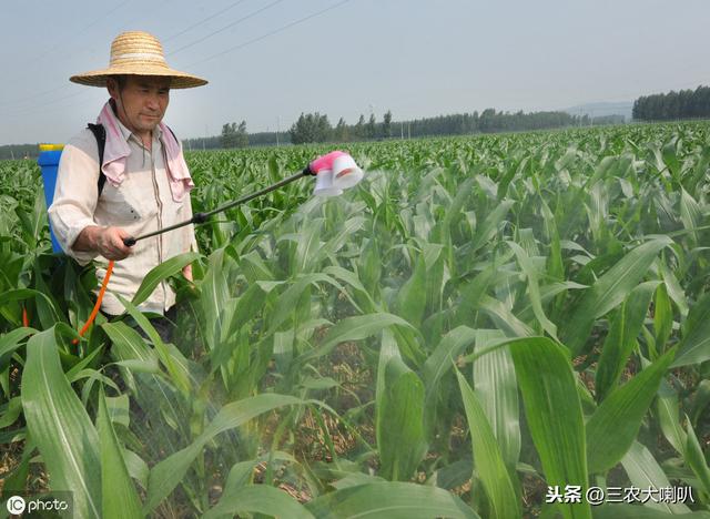 作物病虫害严重，不知道用啥药怎么办？最新指南，名单大全！6