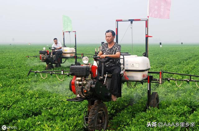 芸苔素与胺鲜酯的区别，以及复配方法2