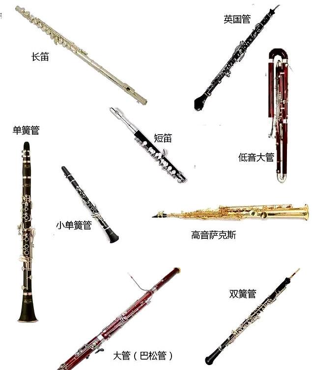 单簧管是什么乐器（交响乐团中木管组乐器有哪些特点）