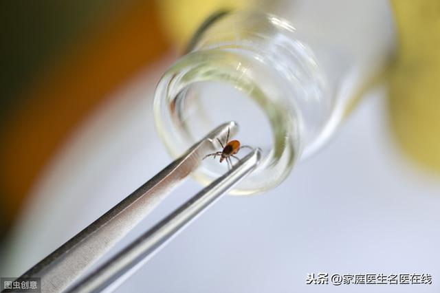 酒糟鼻怎么办