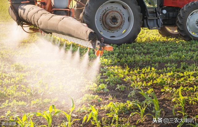 玉米除草，用什么除草剂效果好？配方公开，供大家参考4