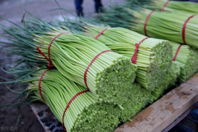 种植大蒜用什么肥料好