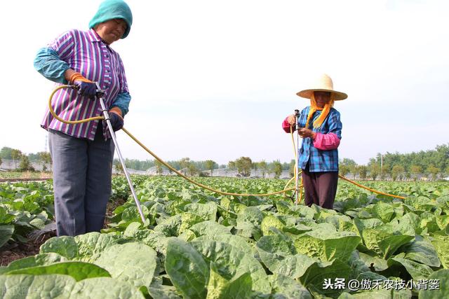 兼有杀菌+治疗作用、可防治细菌真菌病毒病害，这种杀菌剂不简单8