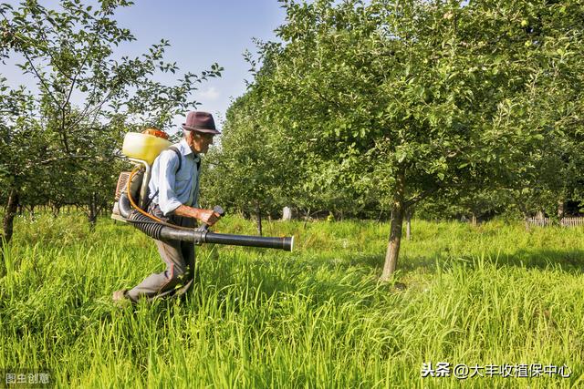 除草剂杀草实测：杂草30分钟枯萎，3天死亡！防效近100%3