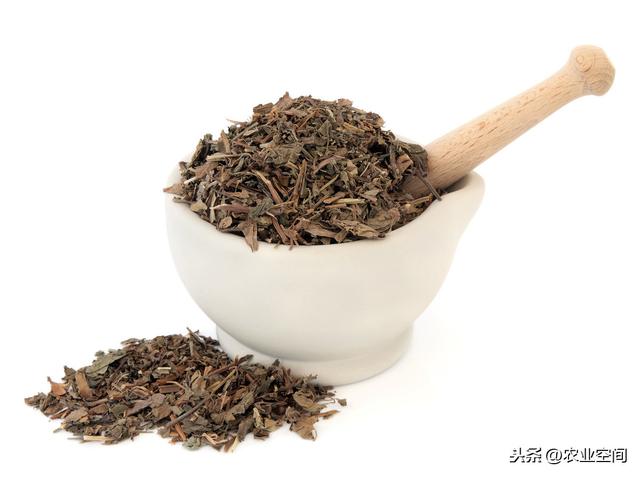 包含蔗糖过滤机的词条